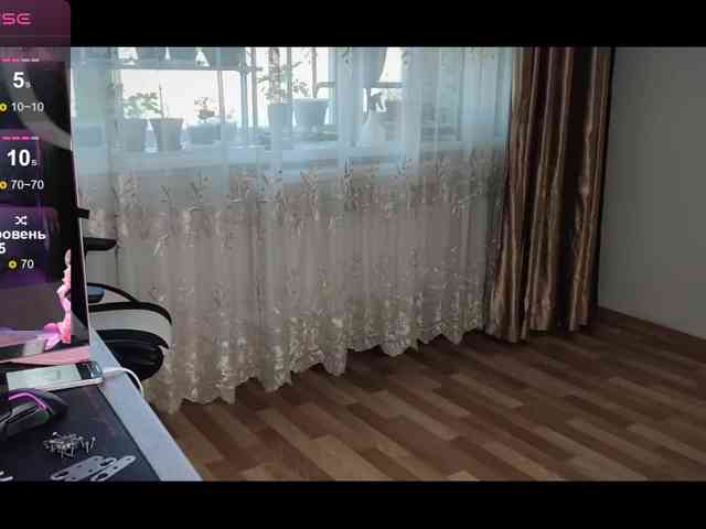 Lady-shy webcam