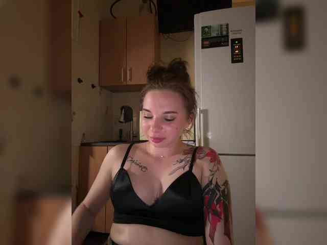 Lady-shy webcam
