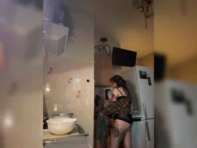 Lady-shy webcam