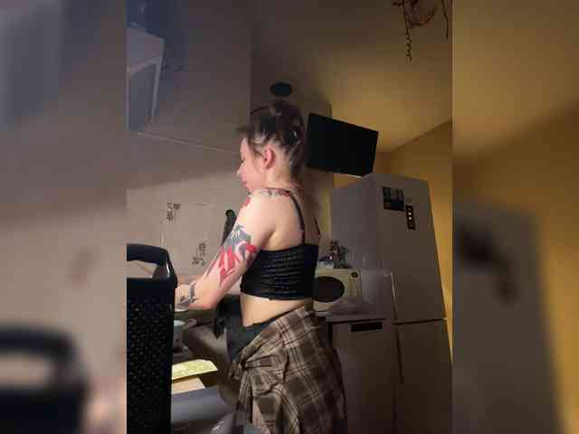 Lady-shy webcam