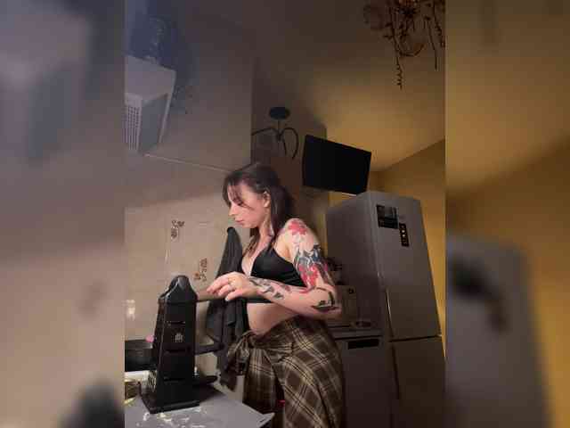 Lady-shy webcam