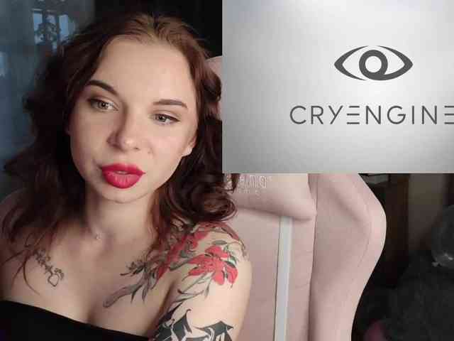 Lady-shy webcam