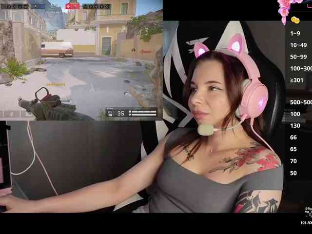 Lady-shy webcam
