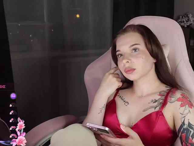 Lady-shy webcam