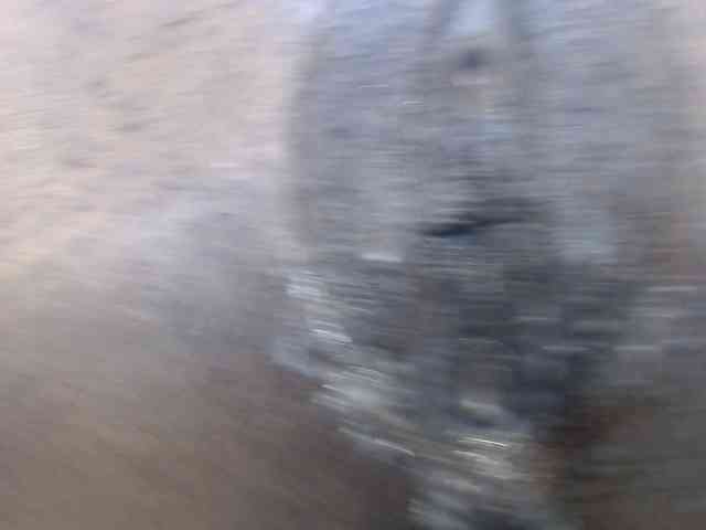 Mona_Keyis webcam