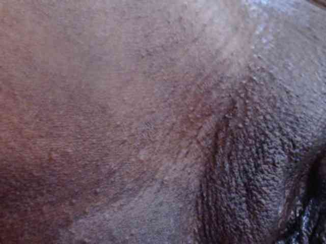 Mona_Keyis webcam