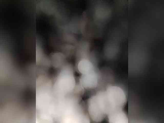 Knjaz1202 Live Webcam on BongaCams