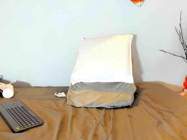 Karlaliones webcam