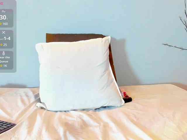 Karlaliones webcam