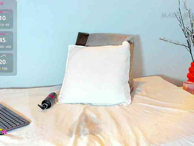 Karlaliones webcam