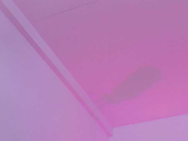 Preview of cutepetitee