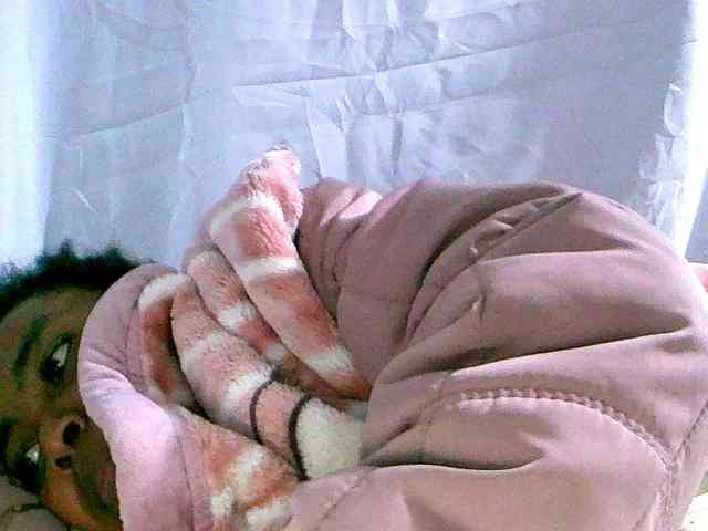 maylanne webcam