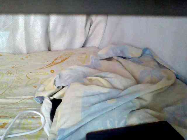 maylanne webcam