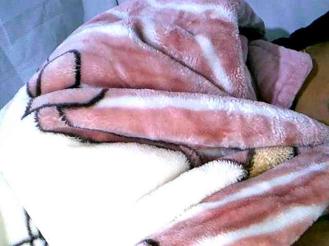 maylanne webcam