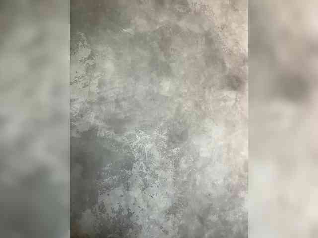 BetaVulgaris webcam