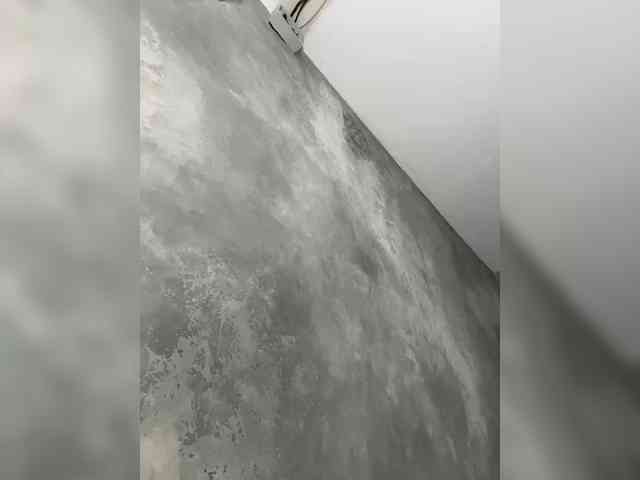 BetaVulgaris webcam
