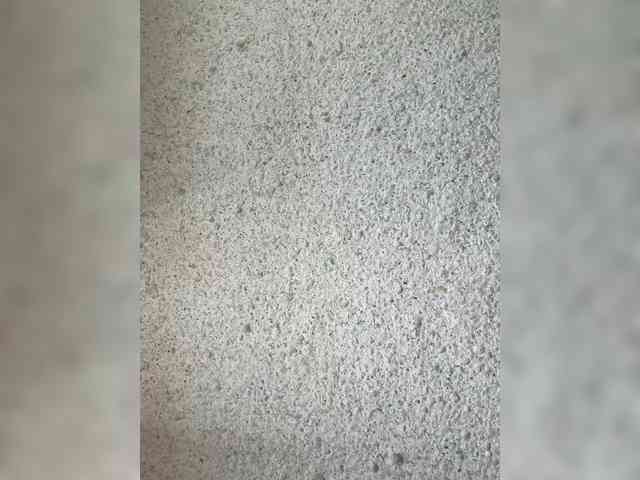 BetaVulgaris webcam