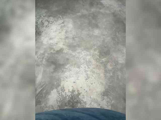 BetaVulgaris webcam