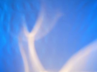 EvaFashionista Porn Show