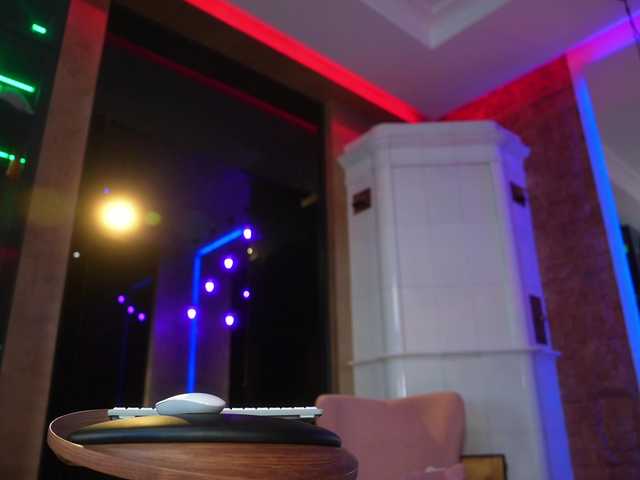 EvaFashionista from BongaCams is Freechat