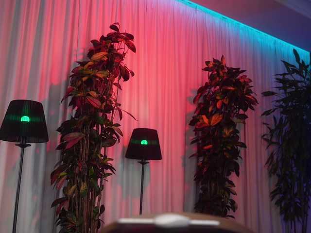 EvaFashionista from BongaCams is Freechat