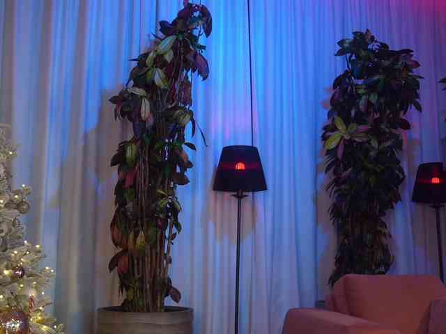 EvaFashionista webcam