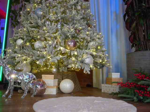 EvaFashionista EvaFashionista