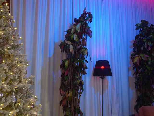 EvaFashionista webcam