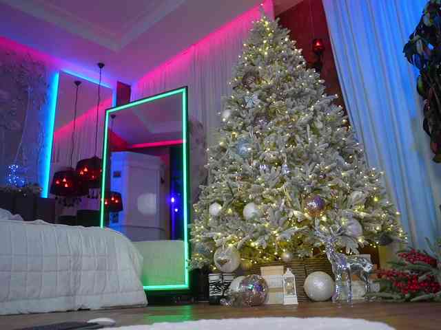 EvaFashionista webcam