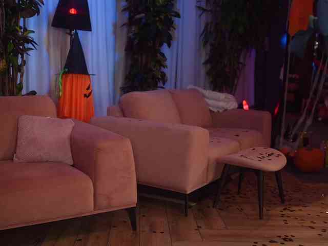 EvaFashionista webcam