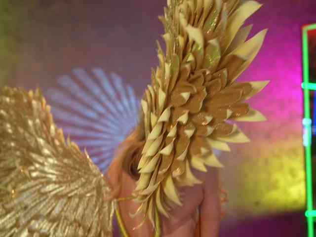 EvaFashionista webcam