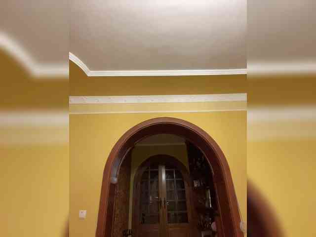 Potifays webcam