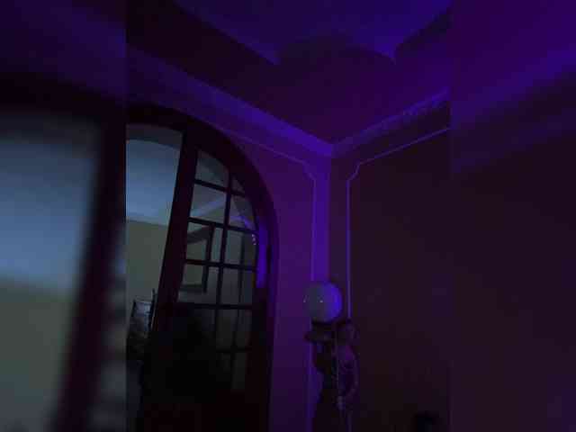 Potifays webcam