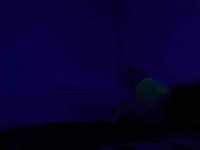 DemonFOX69