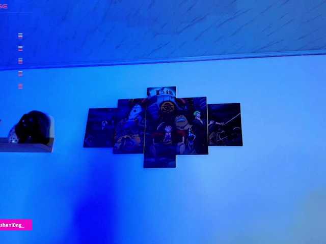 Preview of nicorobin