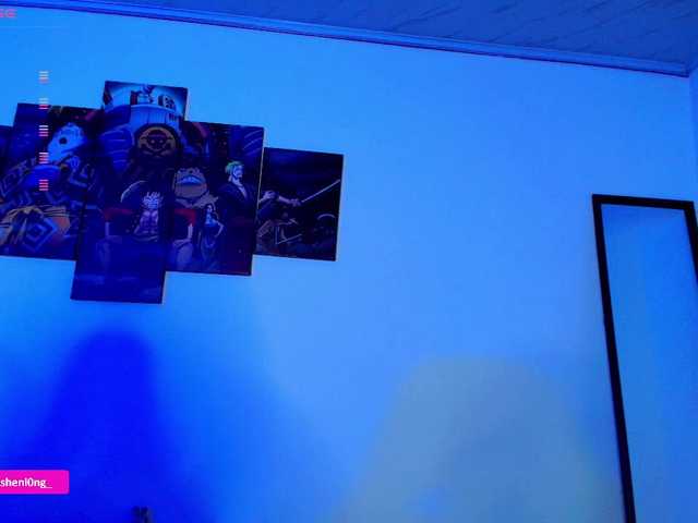 Preview of nicorobin