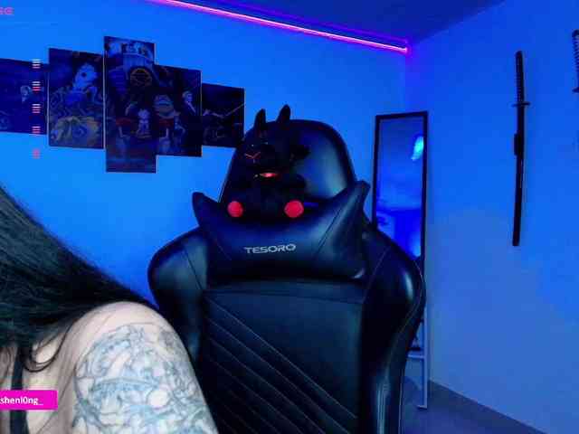 Nicorobin webcam