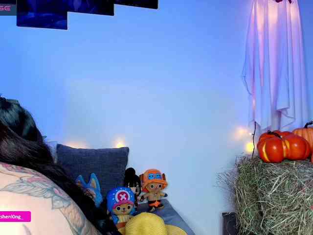 Nicorobin webcam