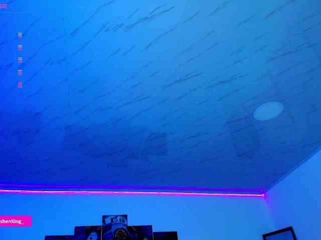 Nicorobin webcam