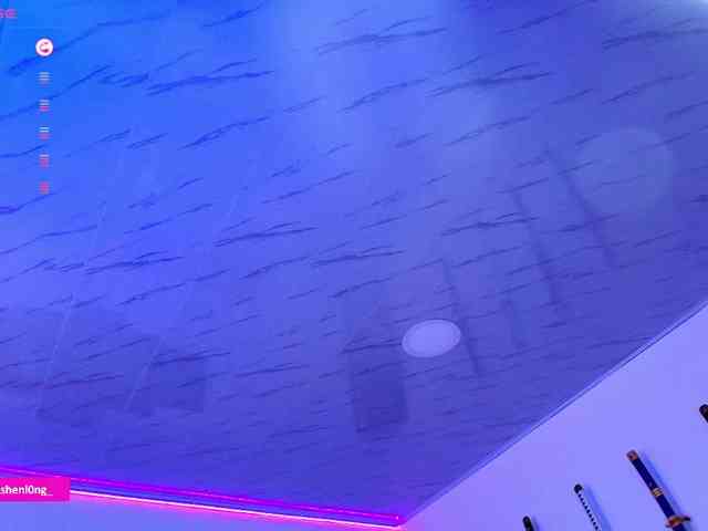 Nicorobin webcam