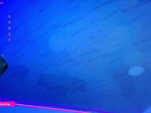 Nicorobin webcam