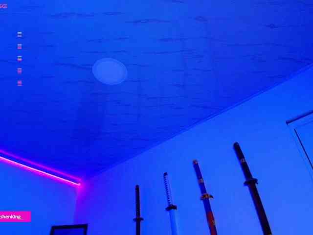 Nicorobin webcam