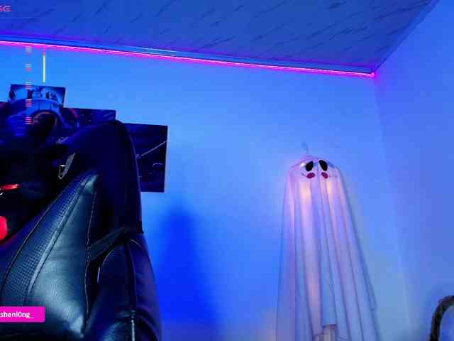 Nicorobin webcam