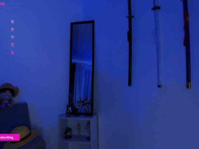 Nicorobin webcam