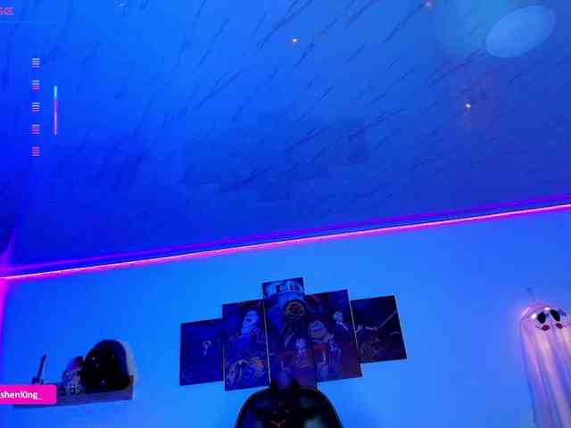 Nicorobin webcam