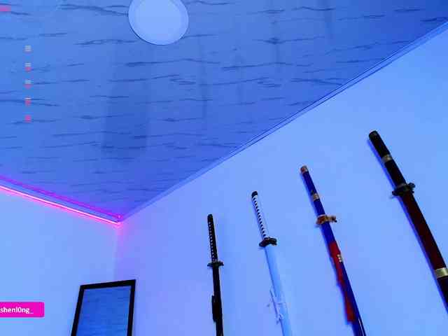 Nicorobin webcam