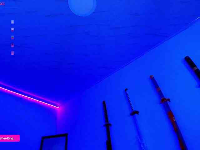 Nicorobin webcam