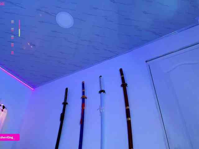 Nicorobin webcam
