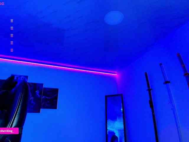 Nicorobin webcam