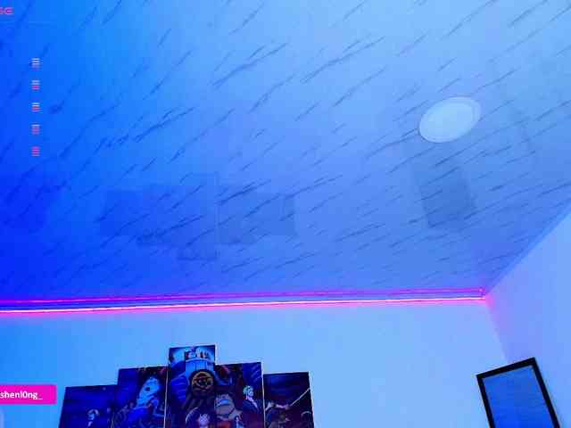 Nicorobin webcam